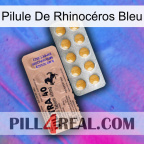 Pilule De Rhinocéros Bleu 41